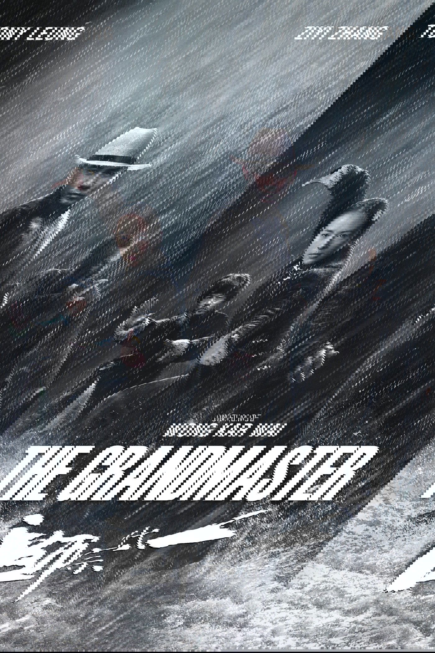 Affiche du film The Grandmaster en DVD et Blu-Ray