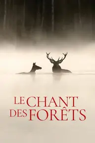 Affiche 2 de Le Chant des forêts