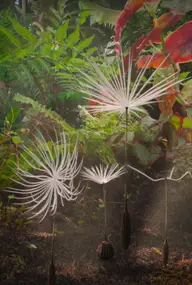 Affiche 3 de Planètes