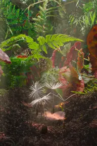 Affiche 2 de Planètes