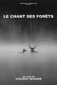 Affiche 5 de Le Chant des forêts