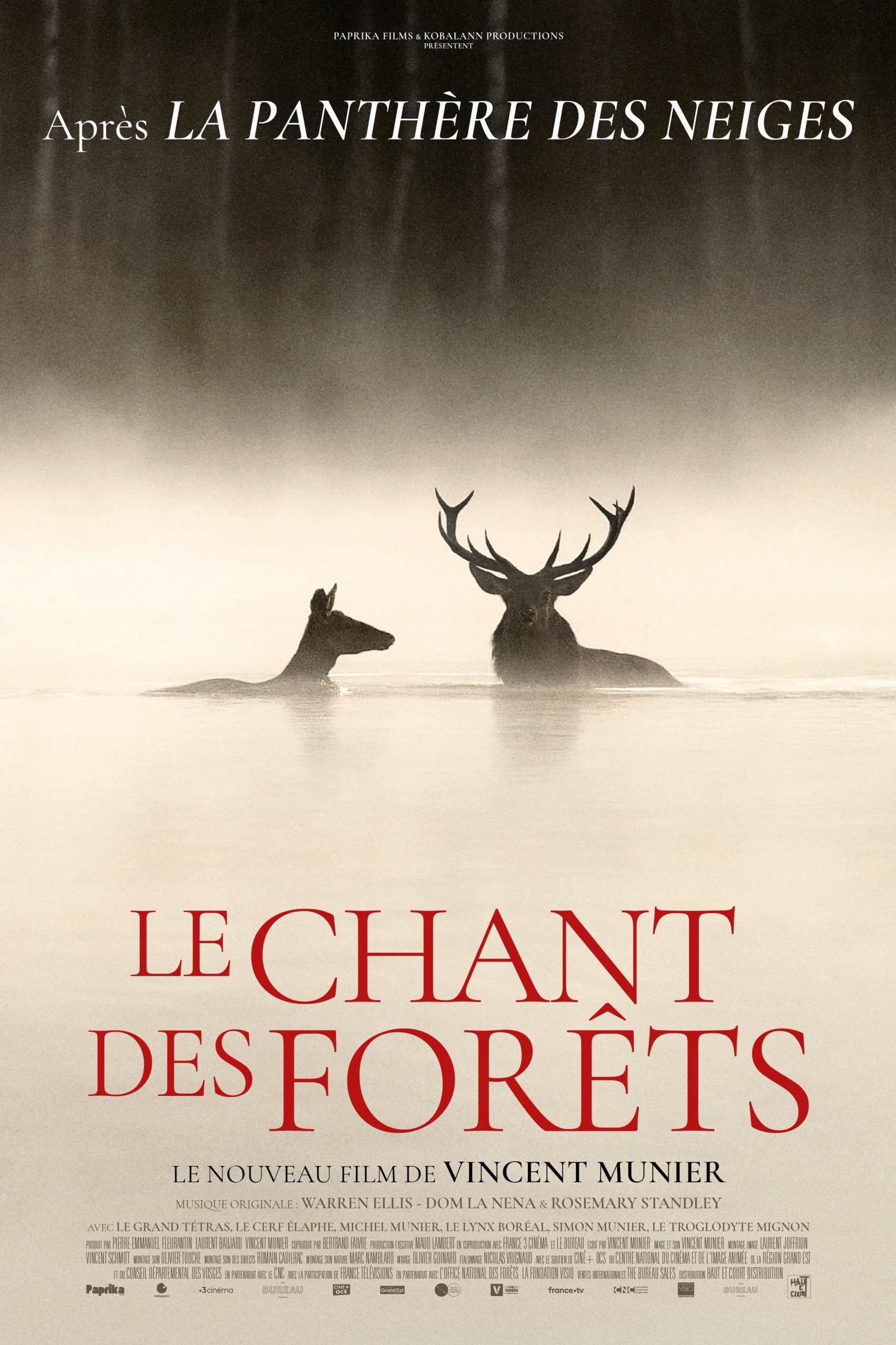 Le Chant des forêts