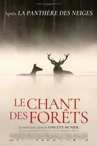 Affiche 1 de Le Chant des forêts