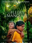 Les Fleurs du manguier