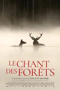 Affiche 3 de Le Chant des forêts